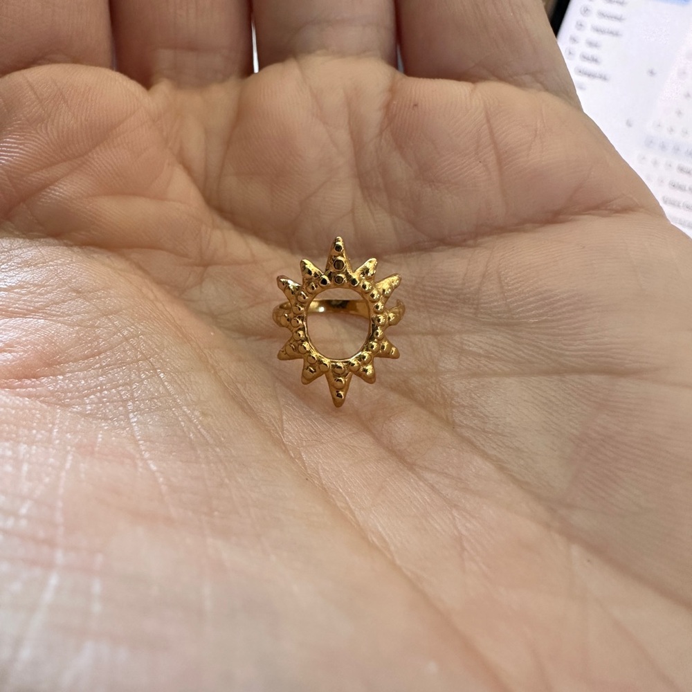 NWOT Single Earing